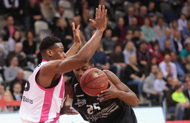 培养本土新 培养本土新